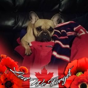 Meet your Posher, Tamara